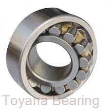Toyana GW 100 plain bearings