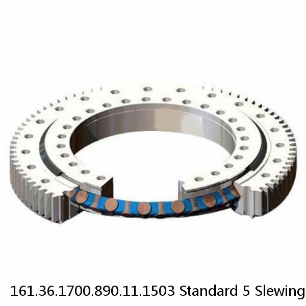 161.36.1700.890.11.1503 Standard 5 Slewing Ring Bearings
