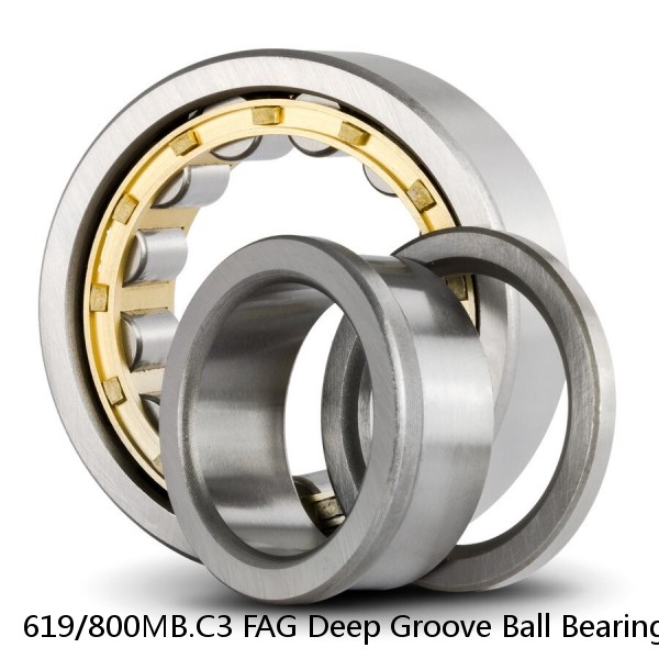 619/800MB.C3 FAG Deep Groove Ball Bearings