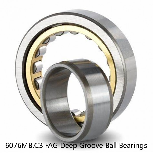 6076MB.C3 FAG Deep Groove Ball Bearings