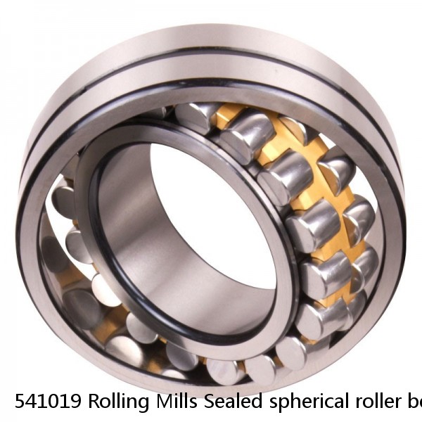 541019 Rolling Mills Sealed spherical roller bearings continuous casting plants