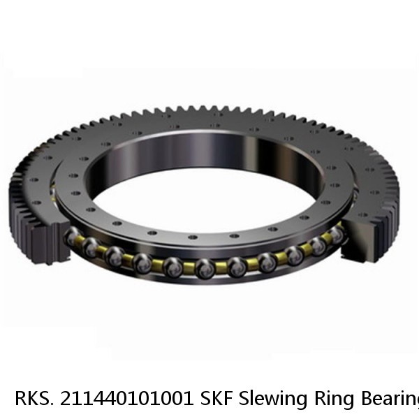 RKS. 211440101001 SKF Slewing Ring Bearings #1 small image