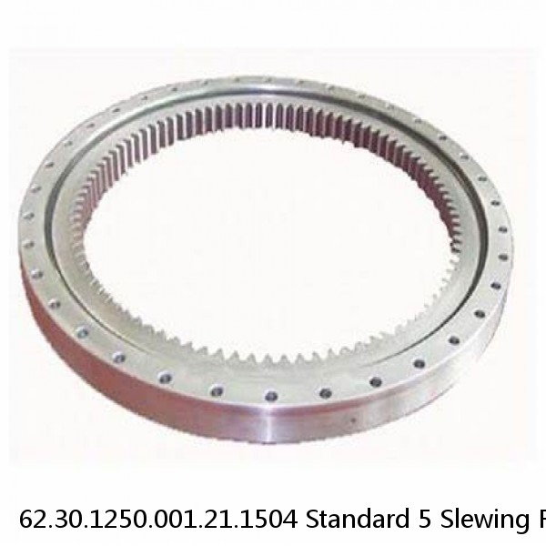 62.30.1250.001.21.1504 Standard 5 Slewing Ring Bearings #1 small image