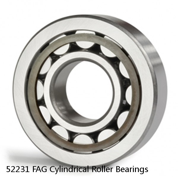 52231 FAG Cylindrical Roller Bearings