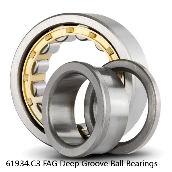 61934.C3 FAG Deep Groove Ball Bearings #1 small image