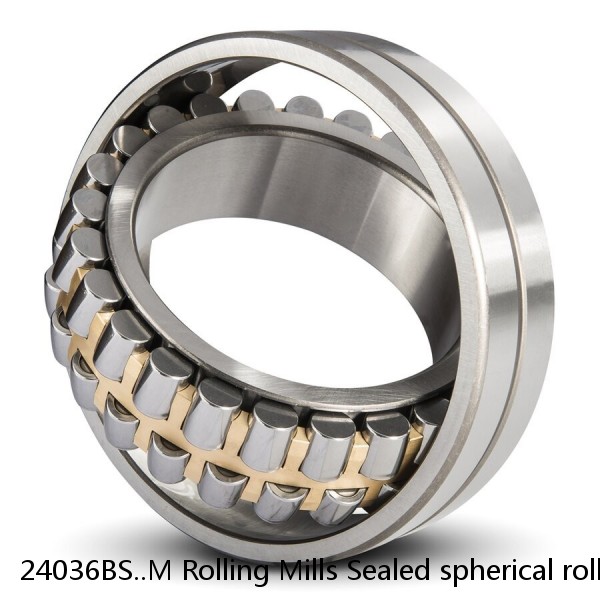 24036BS..M Rolling Mills Sealed spherical roller bearings continuous casting plants