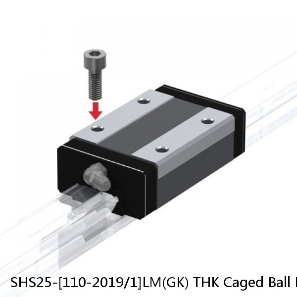 SHS25-[110-2019/1]LM(GK) THK Caged Ball Linear Guide Rail Only Standard Grade Interchangeable SHS Series #1 small image