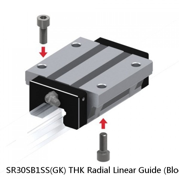 SR30SB1SS(GK) THK Radial Linear Guide (Block Only) Interchangeable SR Series #1 small image