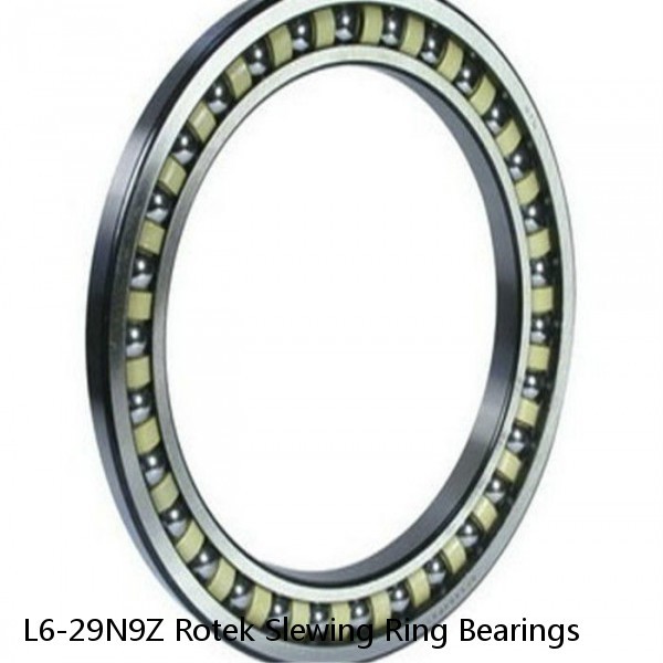 L6-29N9Z Rotek Slewing Ring Bearings #1 image