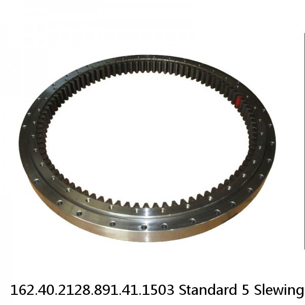 162.40.2128.891.41.1503 Standard 5 Slewing Ring Bearings #1 image
