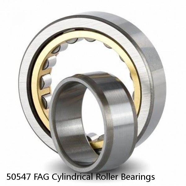 50547 FAG Cylindrical Roller Bearings #1 image