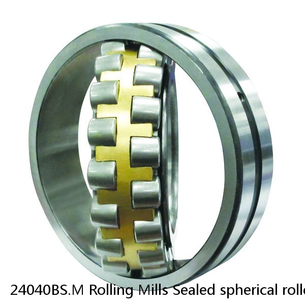 24040BS.M Rolling Mills Sealed spherical roller bearings continuous casting plants #1 image