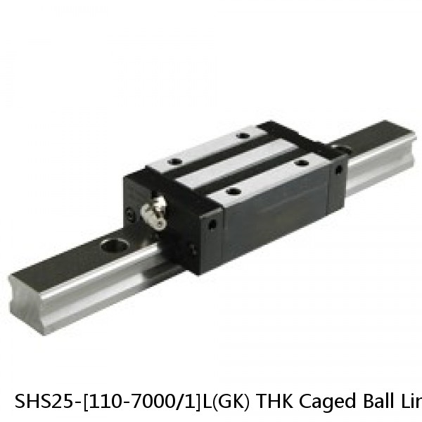 SHS25-[110-7000/1]L(GK) THK Caged Ball Linear Guide Rail Only Standard Grade Interchangeable SHS Series #1 image